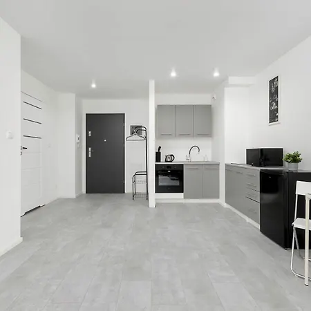 Eleganckie I Stylowe Z Balkonem W Sosnowcu By Renters