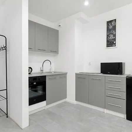 Eleganckie I Stylowe Z Balkonem W Sosnowcu By Renters Sosnowiec