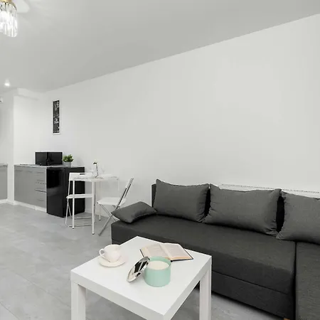Eleganckie I Stylowe Z Balkonem W Sosnowcu By Renters Appartement Sosnowiec